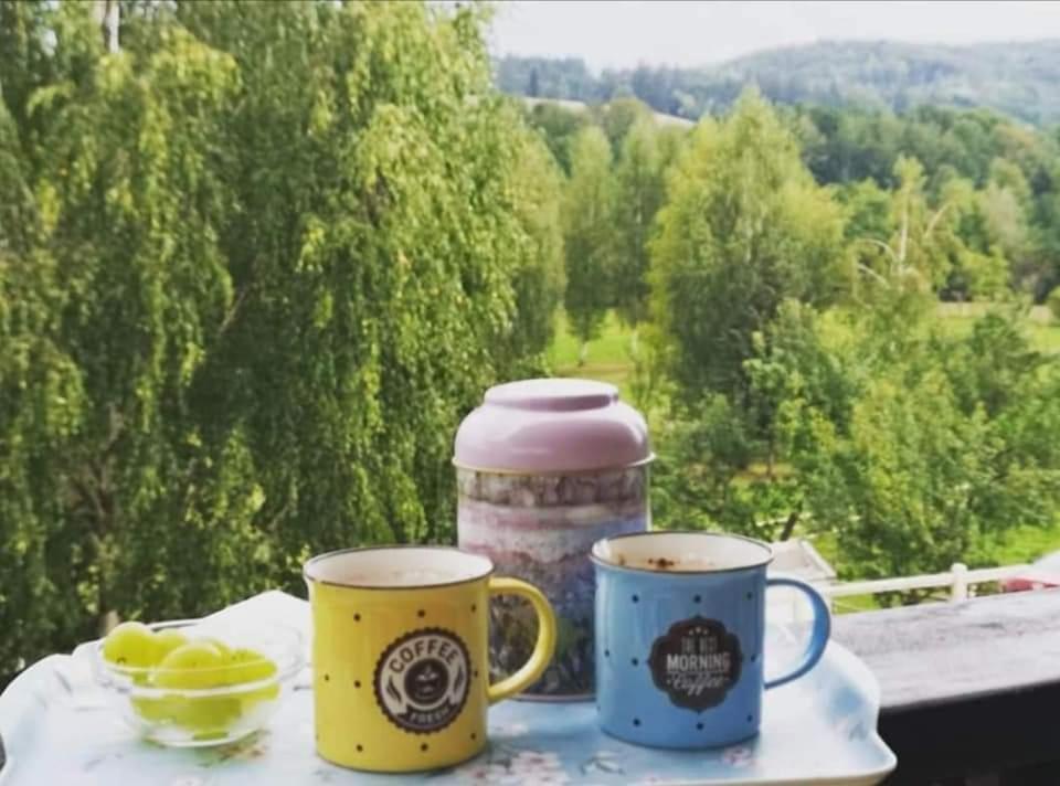 Pensiunea Grădina Ascunsa Bughea de Jos Exterior foto