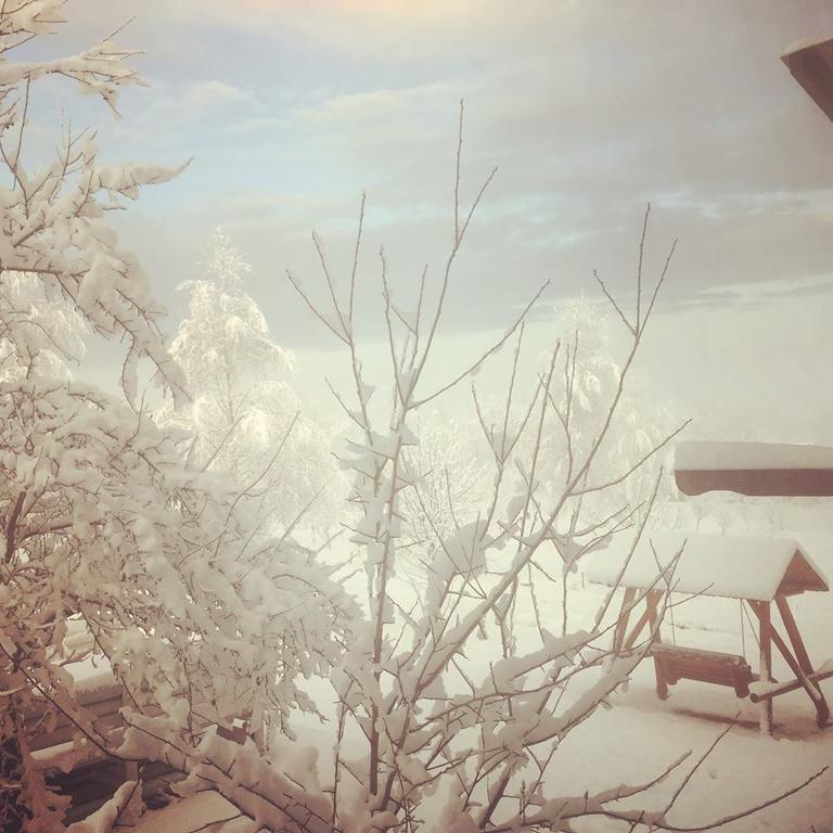 Pensiunea Grădina Ascunsa Bughea de Jos Exterior foto