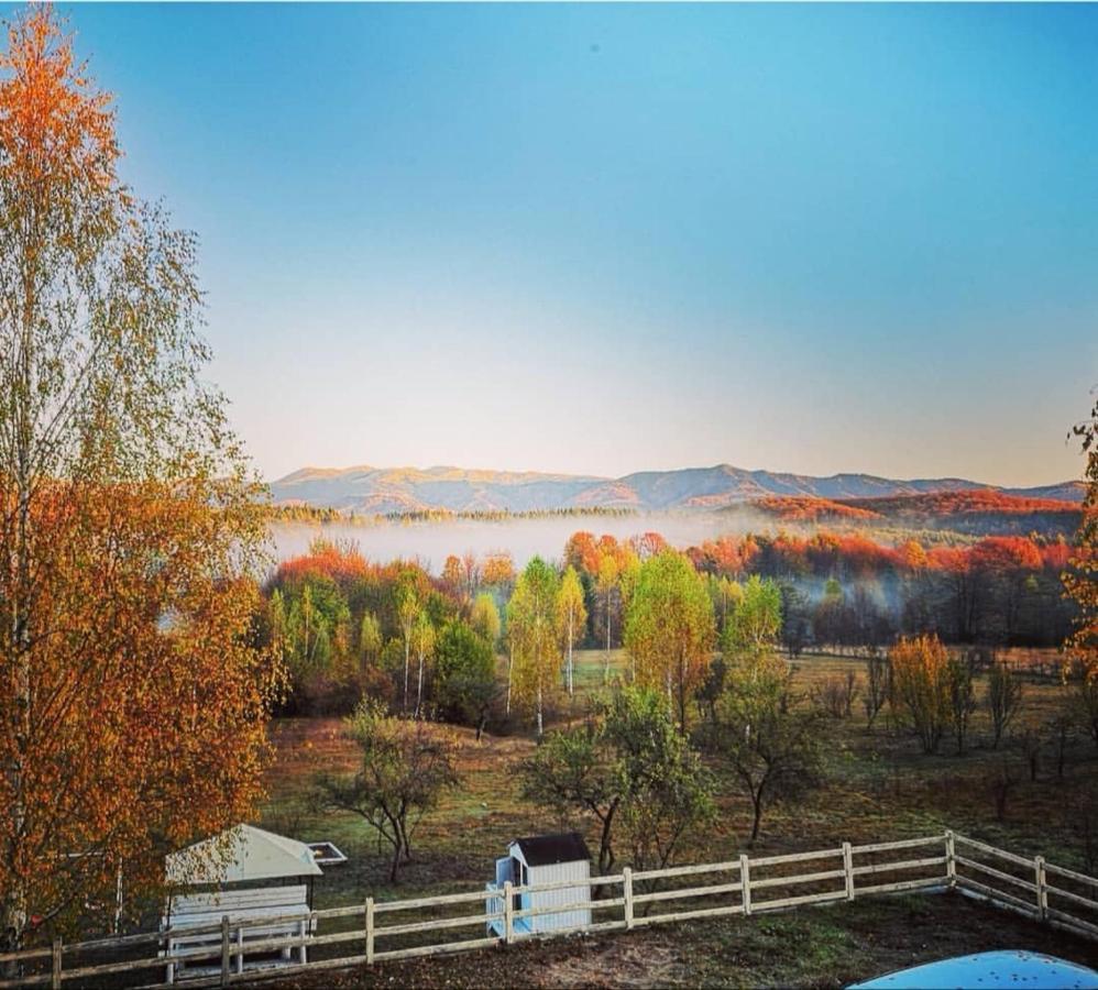 Pensiunea Grădina Ascunsa Bughea de Jos Exterior foto