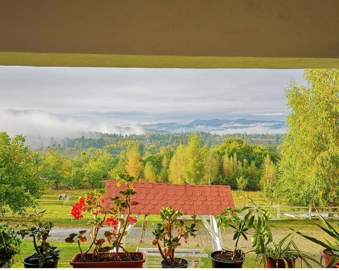 Pensiunea Grădina Ascunsa Bughea de Jos Exterior foto